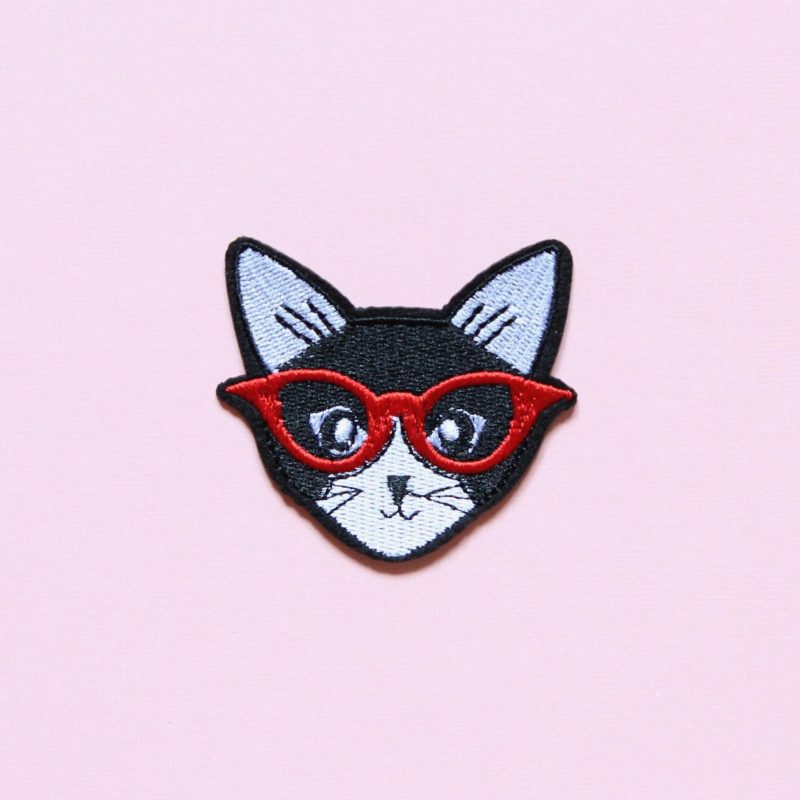 Gato com óculos