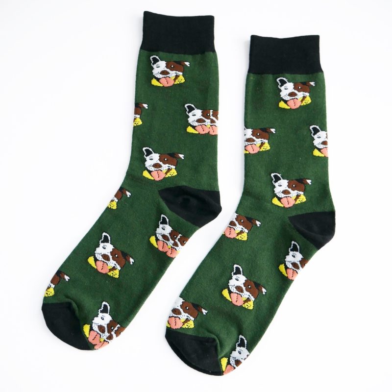 Meias cães